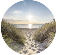 Strandpad met grasduinen en uitzicht op zee bij zonsopgang