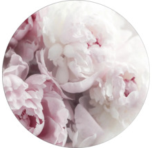 Close-up van roze en witte pioenen