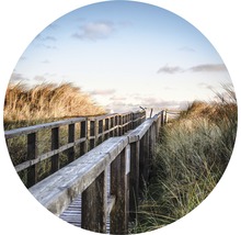 Houten loopbrug door duinlandschap
