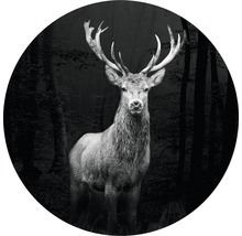 Decoratieve wandcirkel met hertenmotief voor donker bos