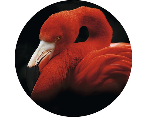 PURE LIVING Schilderij glas Sleeping Flamingo ø 30 cm