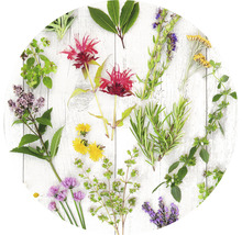 Diverse kruiden en eetbare bloemen op een houten achtergrond