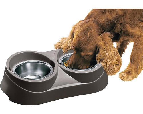 Dubbele hondenbak met hond die eet