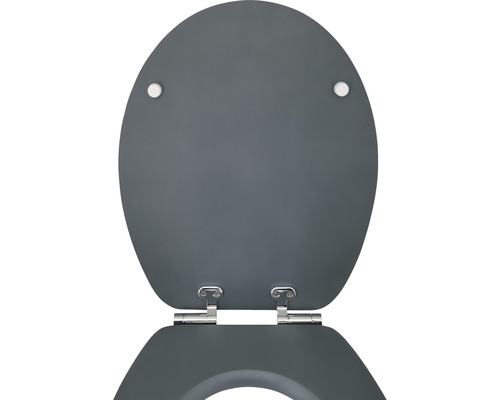 Toiletdeksel van kunststof met scharnieren