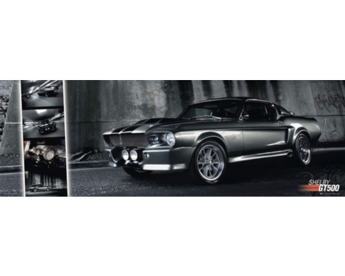 PLANET PICTURES Decopaneel Mustang GT500 30x90 cm