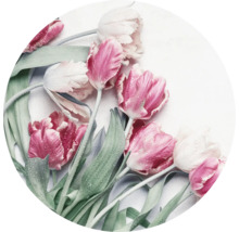 Close-up van tulpen met waterdruppels
