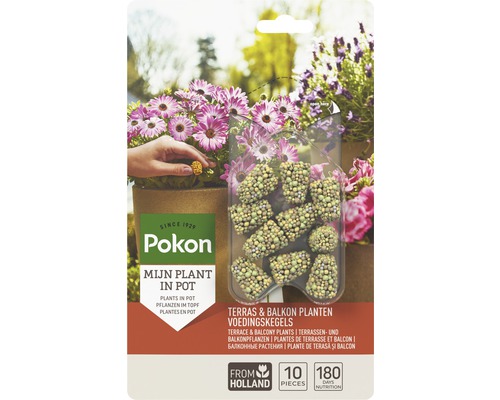POKON Terras & Balkon Planten Voedingskegels 10 st