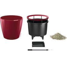 Lechuza Classico 21 bloempot set met bewateringssysteem