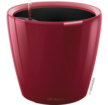 Lechuza Classico 21 plantenbak met irrigatiesysteem