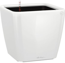 Vierkante, witte plantenbak met waterniveau-indicator