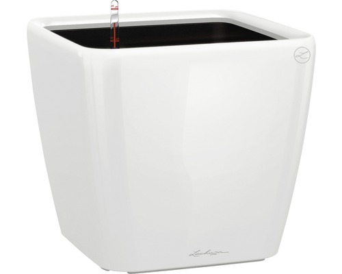 LECHUZA All-in-One Set Plantenbak Premium Quadro Kunststof wit Ø 22 cm H 20,5 cm Vierkante, witte plantenbak met waterniveau-indicator