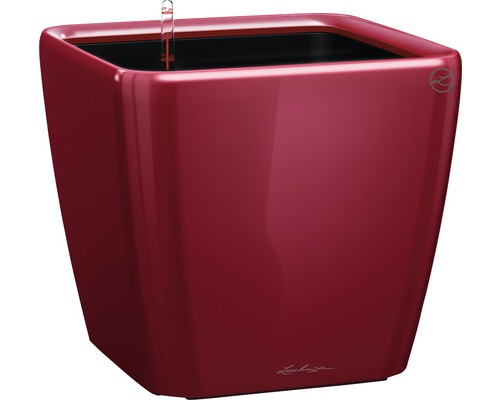 LECHUZA All-in-One Set Plantenbak Premium Quadro Kunststof rood Ø 22 cm H 20,5 cm Vierkante plantenbak met waterniveau-indicator