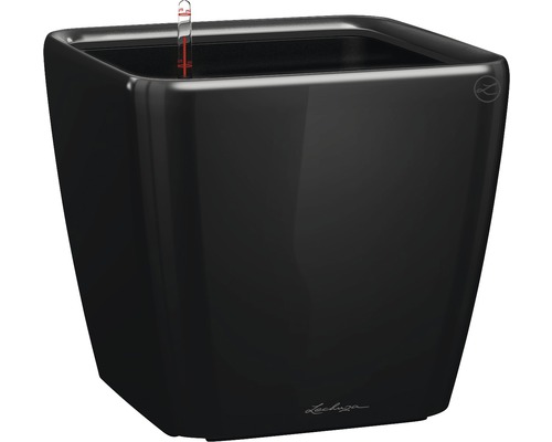 LECHUZA All-in-One Set Plantenbak Premium Quadro Kunststof zwart Ø 22 cm H 20,5 cm LECHUZA All-in-One Set Plantenbak Premium Quadro Kunststof zwart Ø 22 cm H 20,5 cm