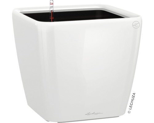 LECHUZA All-in-One Set Plantenbak Premium Quadro Kunststof wit Ø 35 cm H 32,5 cm Witte plantenbak met irrigatiesysteem