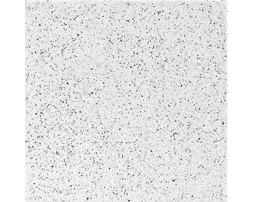 DIEPHAUS Terrastegel iStone Starter met facet kwartsiet, 40 x 40 x 4 cm Witte vloertegel met gespikkeld patroon
