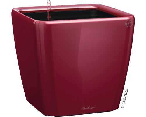 LECHUZA All-in-One Set Plantenbak Premium Quadro Kunststof rood Ø 35 cm H 32,5 cm Vierkante plantenpot met waterniveau-indicator