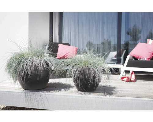 Twee plantenbakken met siergras op een terras met zitplaatsen