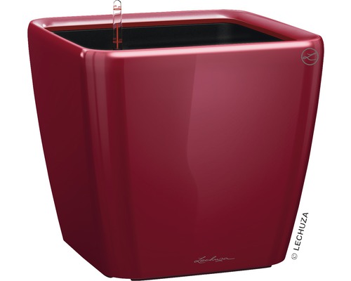 LECHUZA All-in-One Set Plantenbak Premium Quadro Kunststof rood Ø 43 cm H 39,5 cm Vierkante plantenpot met irrigatiesysteem