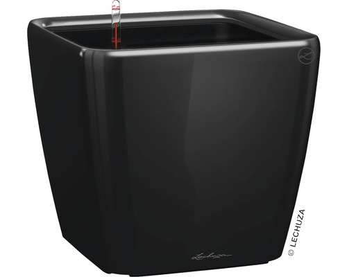 LECHUZA All-in-One Set Plantenbak Premium Quadro Kunststof zwart Ø 43 cm H 39,5 cm LECHUZA All-in-One Set Plantenbak Premium Quadro Kunststof zwart Ø 43 cm H 39,5 cm