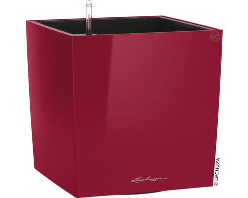 LECHUZA All-in-One Set Plantenbak Cube Kunststof Rood 40 cm x 40 cm x 40 cm Vierkante plantenbak met irrigatiesysteem