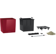 Bloempot met accessoires