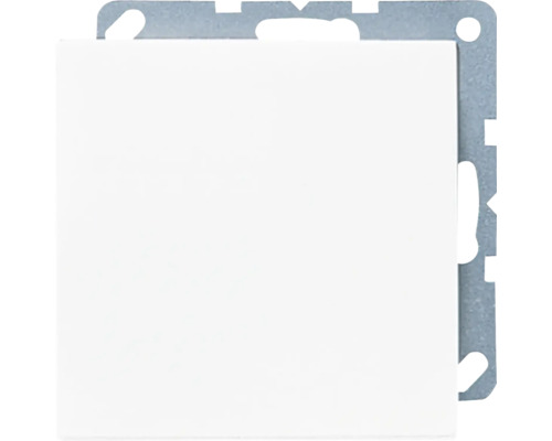 Schakelaar met frame