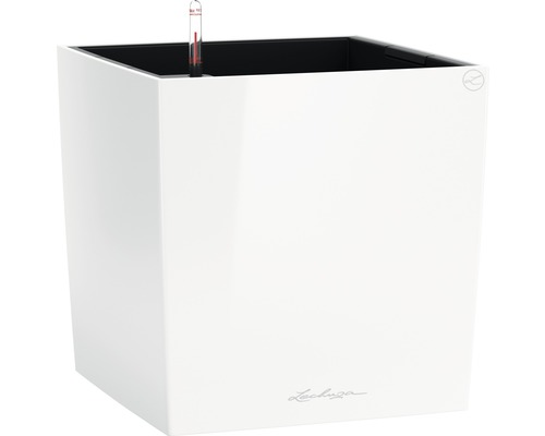 LECHUZA All-in-One Set Plantenbak Cube Kunststof Wit 50 cm x 50 cm x 50 cm Lechuza Classico plantenbak, vierkant