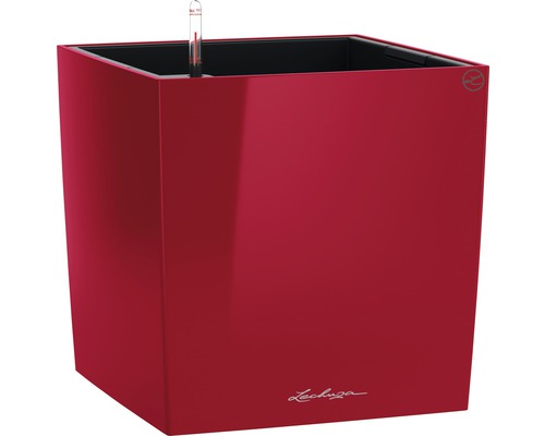LECHUZA All-in-One Set Plantenbak Cube Kunststof Rood 50 cm x 50 cm x 50 cm Vierkante plantenbak met irrigatiesysteem en waterniveau-indicator