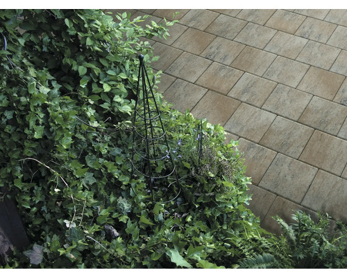 Tuinzicht met stenen platen en plantenbegroeiing