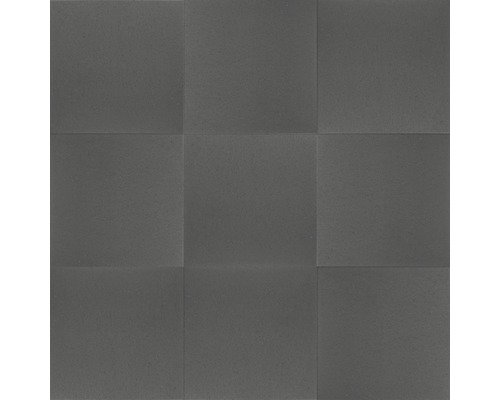 EXCLUTON Terrastegel+ met facet donkergrijs, 60 x 60 x 4 cm