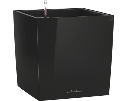 LECHUZA All-in-One Set Plantenbak Cube Kunststof Zwart 50 cm x 50 cm x 50 cm Zwarte Lechuza plantenbak met waterniveau-indicator