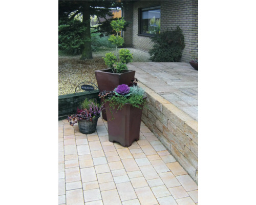 Tuinontwerp met straatstenen, verhoogde bedden en planten