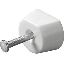 Nagelglijder met nagel