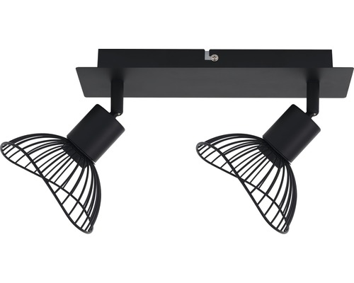 Plafondlamp met twee lampen en metalen frame Plafondlamp met twee lampen en metalen frame