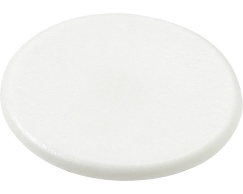 HETTICH Afdekdop voor Rastex 12/15 mm, kunststof wit, 100 stuks Ronde afdekking van kunststof