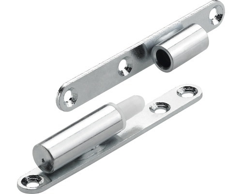 HETTICH Renovatiescharnier met kunststof pin, verzinkt Ø 8 x 63 mm, 10 stuks Scharnierpen met montageplaat