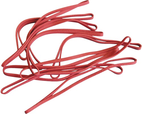 20 Stuks Elastieken Voor Ski & Snowboard - Rembanden Blauw M - Ski Rem Elastiek