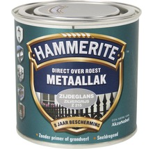 HAMMERITE Metaallak zijdeglans zilvergrijs Z215 250 ml