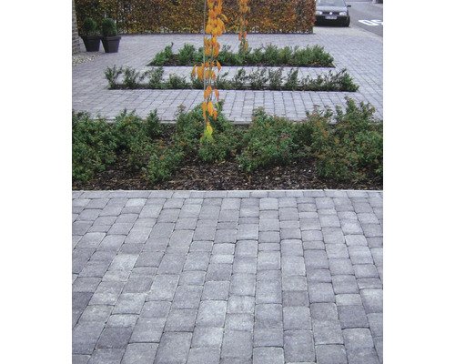 Bestrate weg met rechthoekige stenen en beplanting