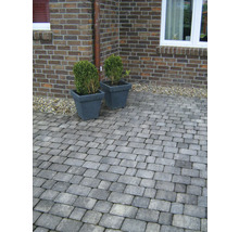 Straatsteen voor bestrating in meerdere formaten iWay Life zwart-wit dikte 6 cm-thumb-3 Straatsteen voor bestrating in meerdere formaten iWay Life zwart-wit dikte 6 cm-thumb-3
