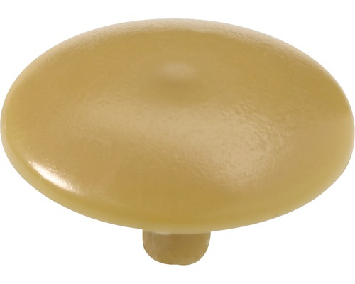 HETTICH Afdekdop, els/beuken Ø 6,3 x 50 mm, 200 stuks Meubelknop van kunststof