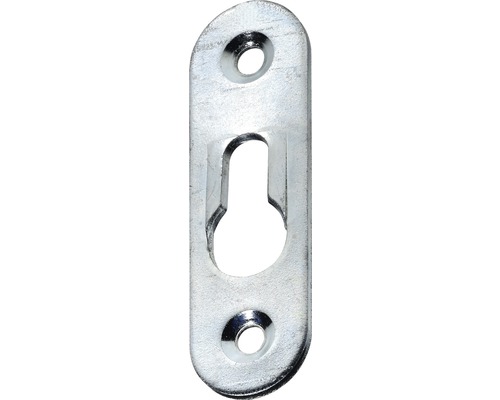 HETTICH Kastophanger met sleutelgat 42x15 mm verzinkt, 50 stuks Fotolijst hanger met twee gaten