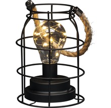 Decoratieve lamp met kooiontwerp en geïntegreerde gloeilamp