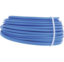 Blauwe waterslang opgerold