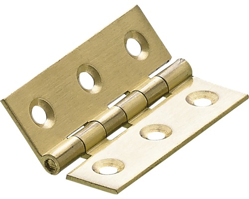 HETTICH Scharnier smal, messing 51 x 35 mm, 10 stuks Messingkleurige scharnier met schroefgaten