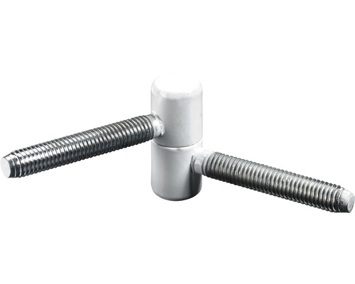 HETTICH Meubel inboorpaumelle 36 x Ø 15 mm wit, 5 stuks Inlasduim met draadstift