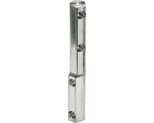 HETTICH Renovatiescharnier, verzinkt staal, 11 x 87,5 mm, 5 stuks Metalen pen met gaten