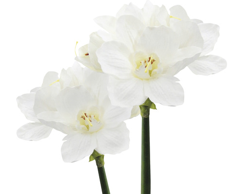 Twee kunstmatige narcissen met witte bloemen