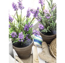 Kunstplant Lavendel in pot, paars-thumb-1