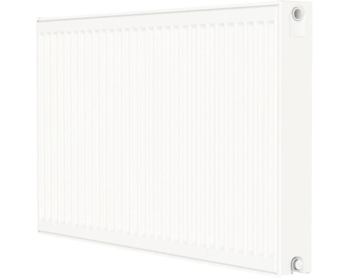 ROTHEIGNER Compact paneelradiator C4 type 22 60x60 cm HxB ROTHEIGNER Compact paneelradiator C4 type 22 60x60 cm HxB